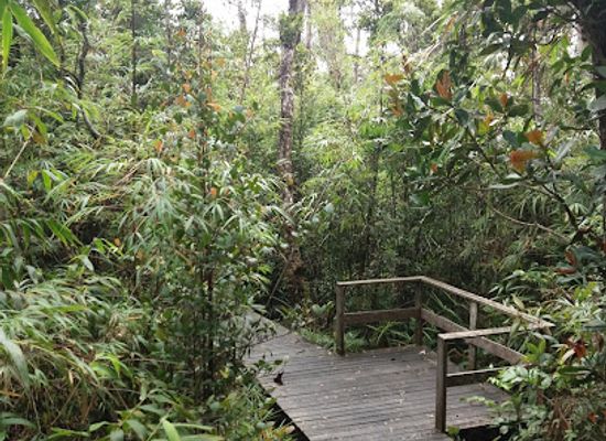 malaysia/sabah/landmark/gunung-alab-substation-crocker-range-park