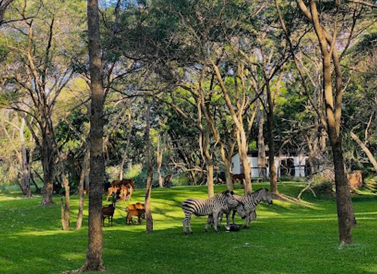 zambia/western-province/landmark/sakae-paradise-resort