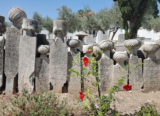 greece/dodecanese/landmark/turkish-cemetery