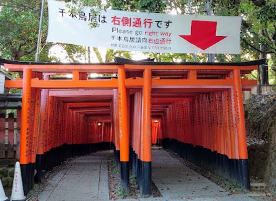 japan/kyoto/fushimi-inari/landmark/fushimi-inari-taisha-sembon-torii-thousand-torii-gates
