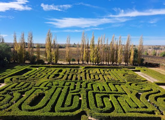 argentina/san-rafael/landmark/finca-los-alamos