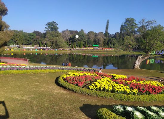 myanmar-burma/delta-region/landmark/national-kandawgyi-gardens
