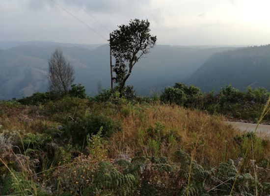 south-africa/lowveld/landmark/historic-view-point-graskop
