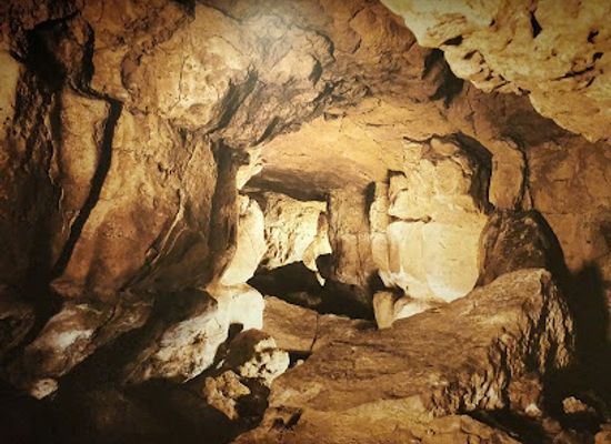spain/cantabria/landmark/cave-of-altamira