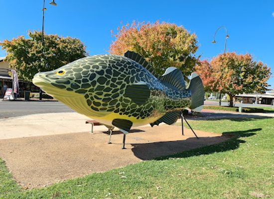 australia/murray-region/landmark/the-big-murray-cod