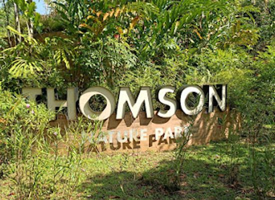 singapore/ang-mo-kio/landmark/thomson-nature-park