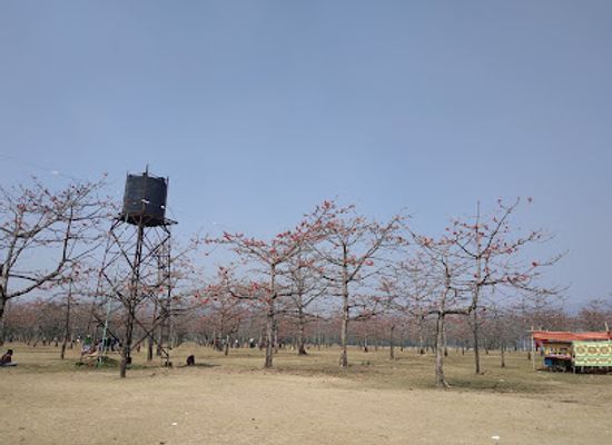 bangladesh/sylhet-division/landmark/joynal-abedin-shimul-garden