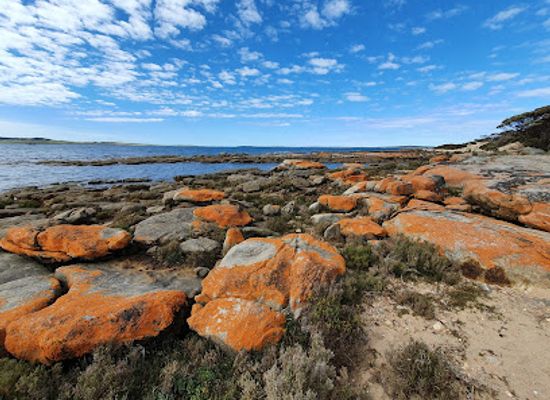 australia/eyre-peninsula/landmark/kirton-point