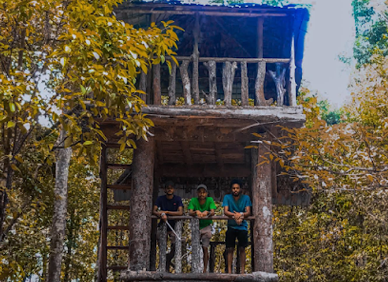 sri-lanka/galle/landmark/kanneliya-rainforest-srilanka