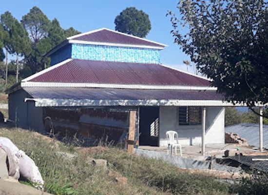 pakistan/pothohar-plateau/landmark/house-of-dhanyal-s