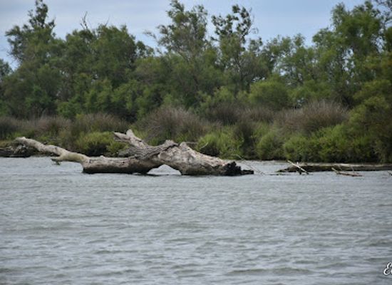 france/camargue/landmark/petite-camargue