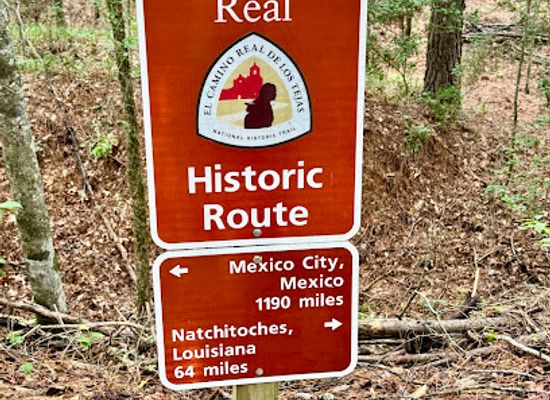 texas/piney-woods/landmark/lobanillo-swales