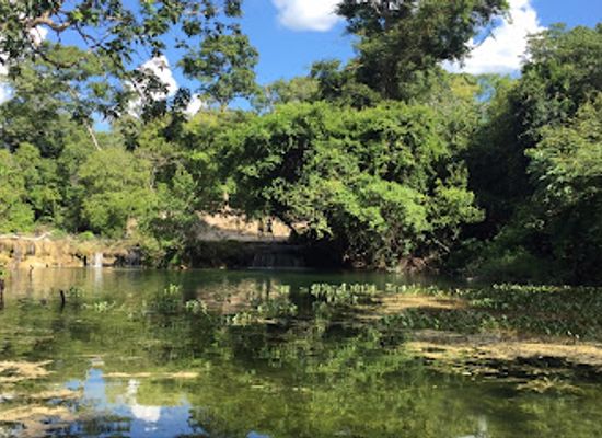 paraguay/concepcion-forest/landmark/arroyo-tagatiya