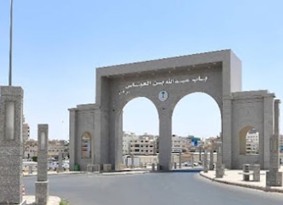 saudi-arabia/taif/landmark/madinat-al-taif