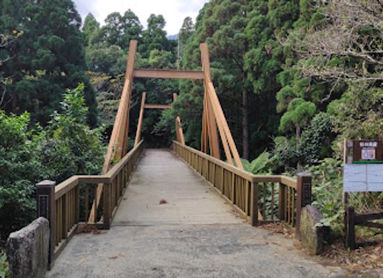 japan/yakushima/landmark/yakusugi-museum