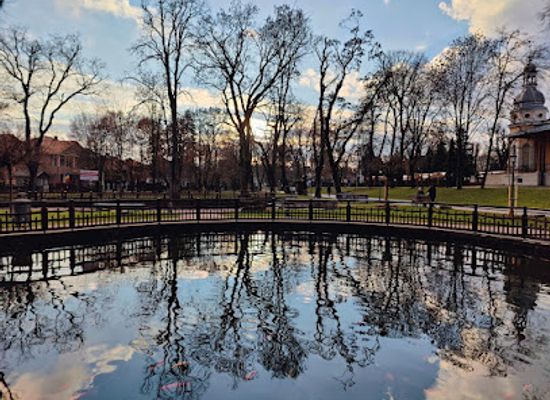 romania/bistrita-nasaud/landmark/parcul-municipal-regele-mihai-i
