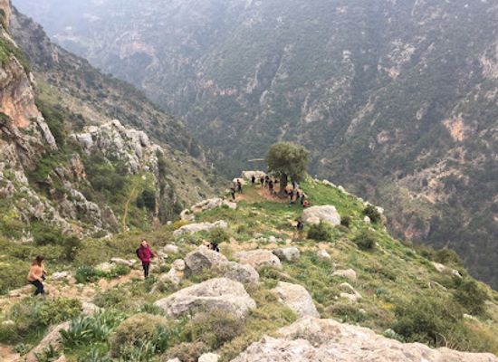 lebanon/south-lebanon/landmark/living-lebanon
