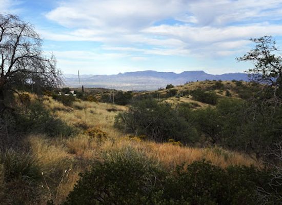 arizona/graham-county/landmark/oracle-state-park