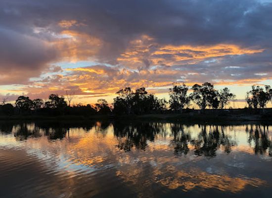 australia/riverland/landmark/rivergum-cruises