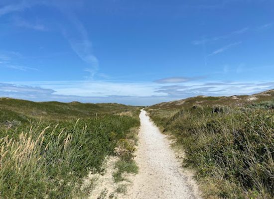 netherlands/texel-island/landmark/seetingsnollen