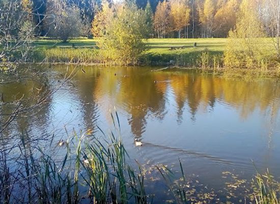 latvia/latgale/landmark/the-vipinga-forest-memorial-site-of-1943-jewish-victims