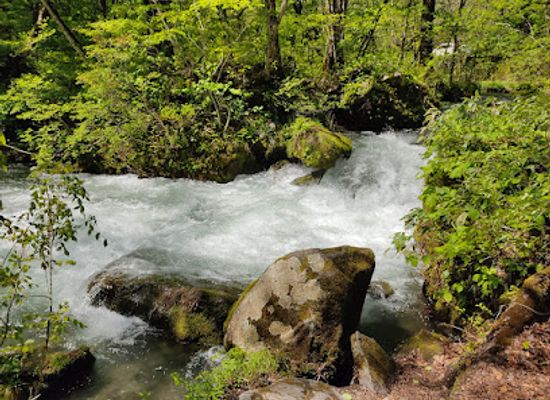 japan/tohoku/landmark/towada-hachimantai-national-park