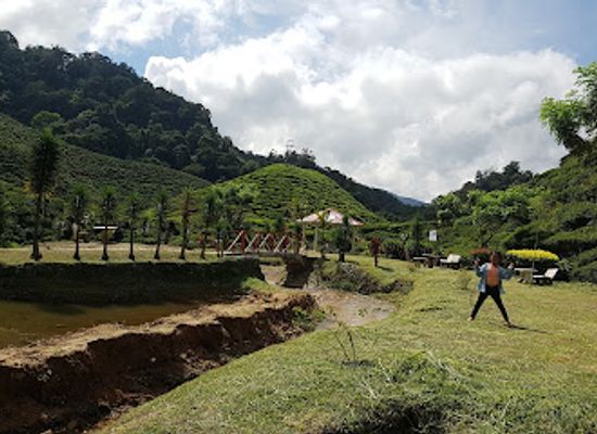 malaysia/cameron-highlands/landmark/cameron-bharat-plantations-retail-shop