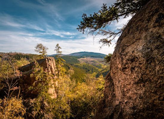 germany/harz-national-park/landmark/luchsgehege-beobachtungsplattform-an-der-rabenklippe