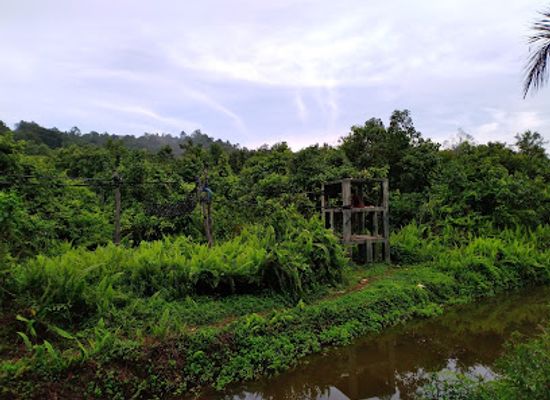 indonesia/kalimantan/landmark/samboja-lestari