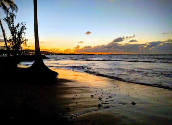puerto-rico/luquillo/landmark/mojitolab