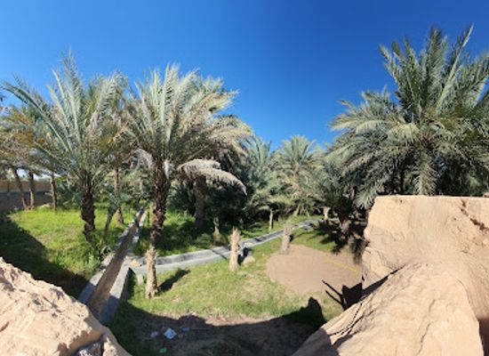 united-arab-emirates/liwa-oasis/landmark/al-ain-oasis