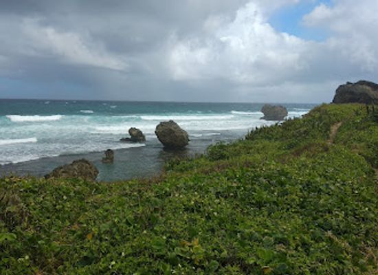 barbados/animal-flower-cave/landmark/bathsheba-park