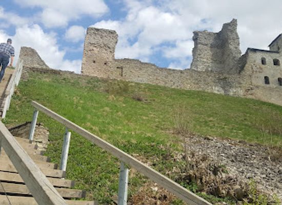 estonia/rakvere/landmark/aurochs-statue