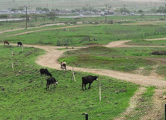 oman/dhofar-region/landmark/mat-hamrir-al-sayahi
