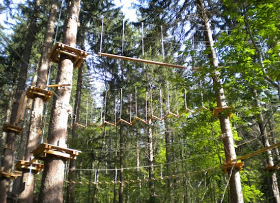 liechtenstein/unterland/landmark/rope-park-in-the-forest