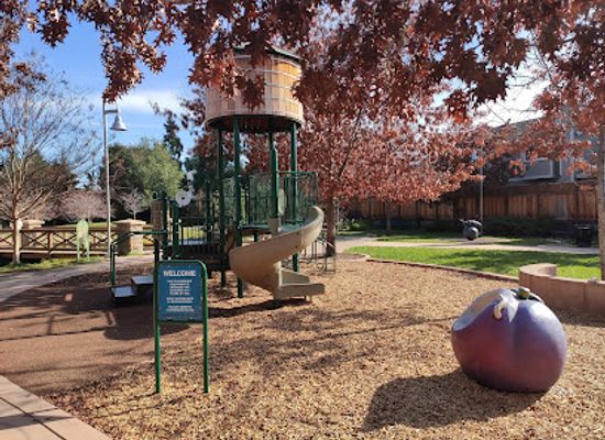 california/campbell/landmark/stojanovich-family-park