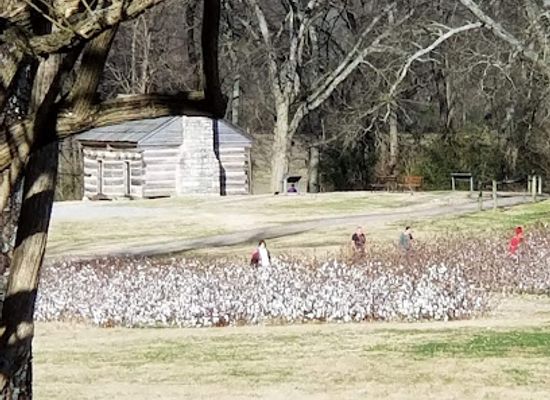 tennessee/duck-river-valley/landmark/andrew-jackson-s-hermitage