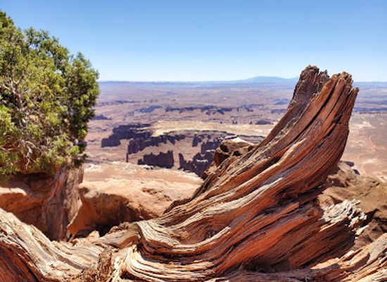 utah/canyonlands/landmark/canyonlands-by-night-day