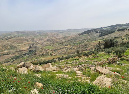 jordan/balqa-highlands/landmark/madaba-archaeological-park