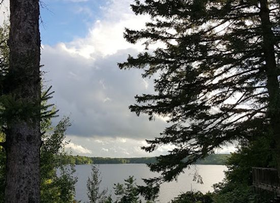 wisconsin/northwoods/landmark/cathedral-pines-state-natural-area