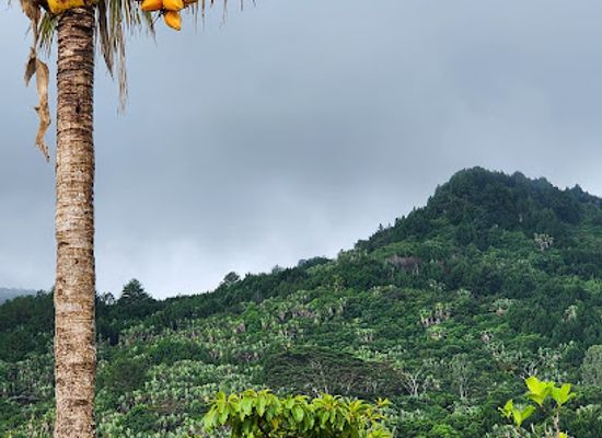 mauritius/chamarel-coloured-earth/landmark/rhumerie-de-chamarel-restaurant-rum-distillery