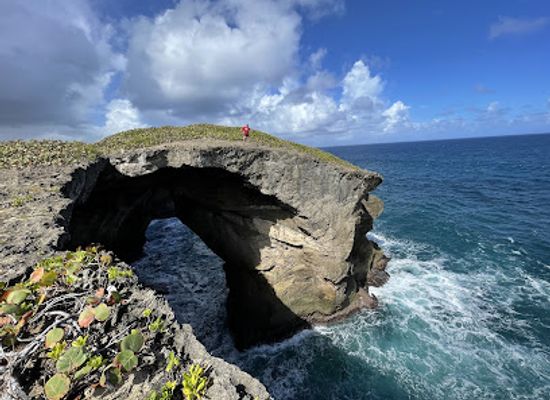 puerto-rico/yunque-national-forest/landmark/reserva-natural-cueva-del-indio