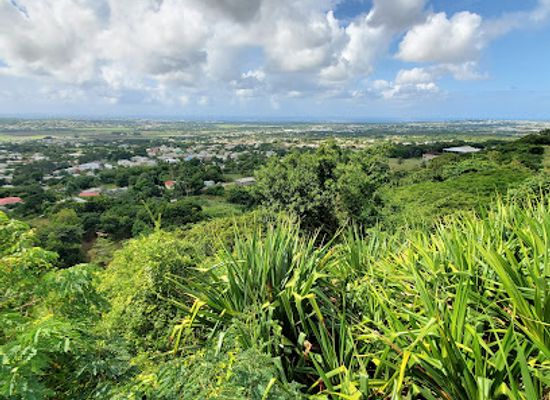 barbados/cherry-tree-hill/landmark/gun-hill-signal-station