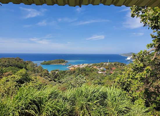 honduras/roatan/landmark/jungle-top-adventures-zipline