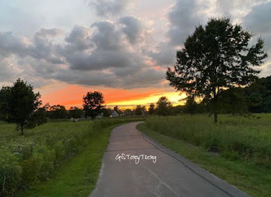 indiana/west-lafayette/landmark/celery-bog-nature-area