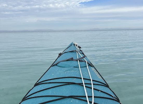 mexico/baja-california-peninsula/landmark/camp-cecil