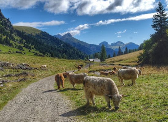italy/val-di-fassa/landmark/val-duron