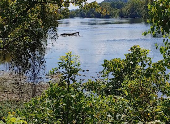 tennessee/tennessee-river-valley/landmark/long-island-of-the-holston
