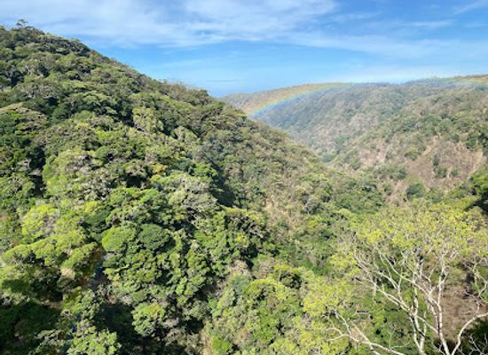 costa-rica/monteverde-cloud-forest-biological-reserve/landmark/valle-escondido-nature-reserve