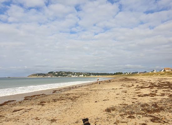 france/normandy/landmark/grande-plage-de-barneville